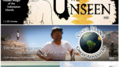 Ron Alexander Media Email